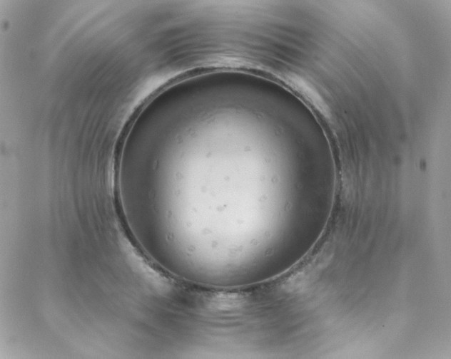 X0000089370839200706151156