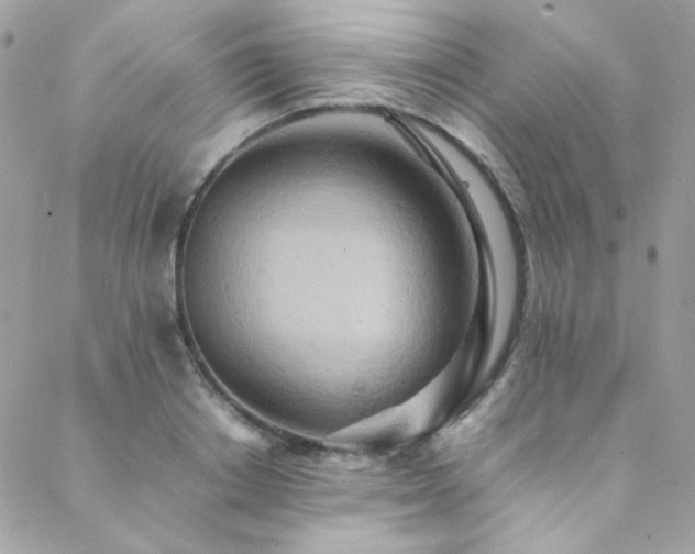 X0000089370842200706151156