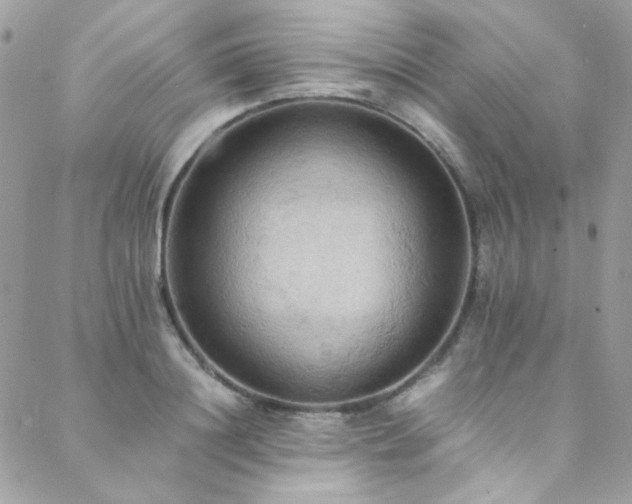 X0000089370844200706151156