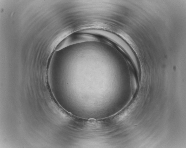 X0000089370850200706151157
