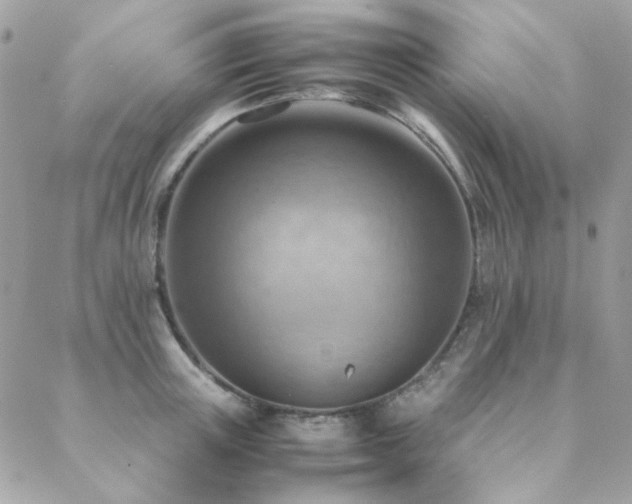 X0000089370851200706151157