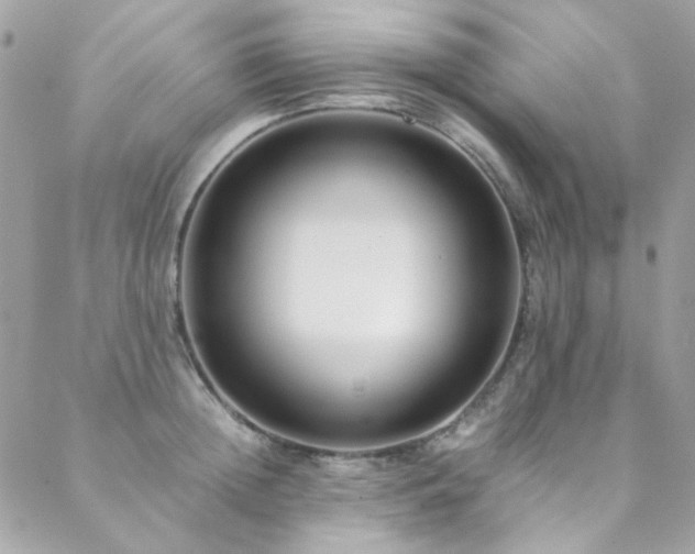 X0000089370852200706151157