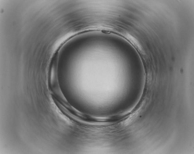 X0000089370854200706151157