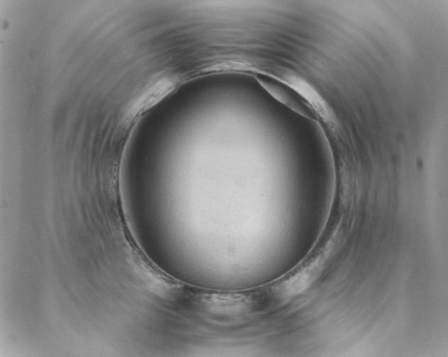 X0000089370857200706151157