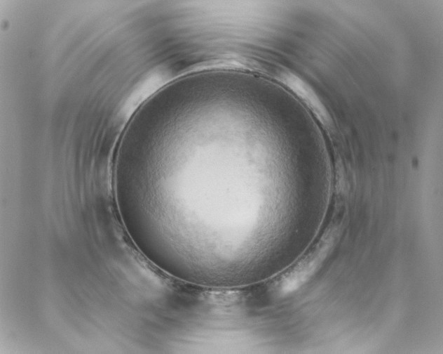 X0000089370858200706151157