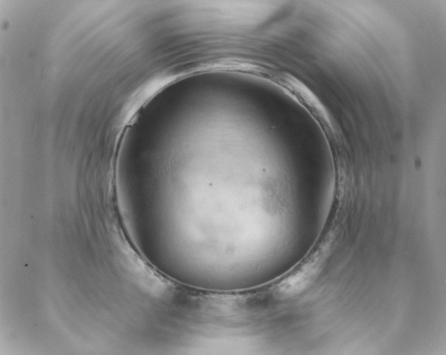 X0000089370860200706151157