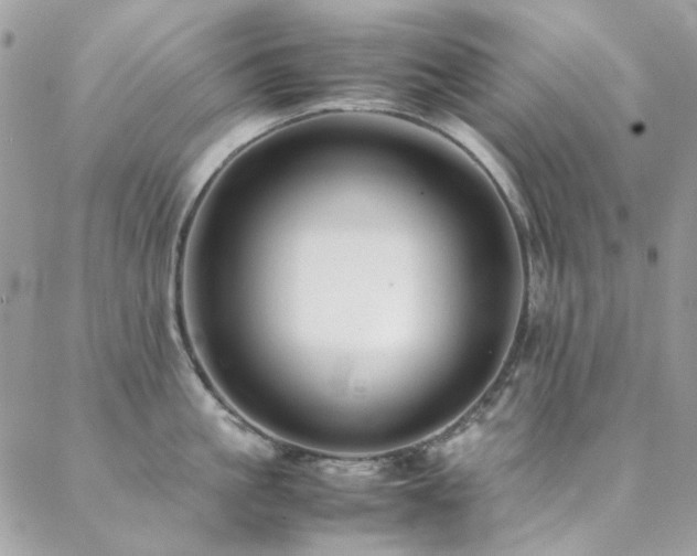 X0000089370861200706151157