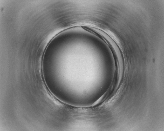 X0000089370862200706151157