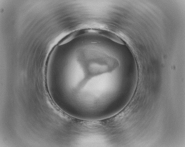 X0000089370864200706151157
