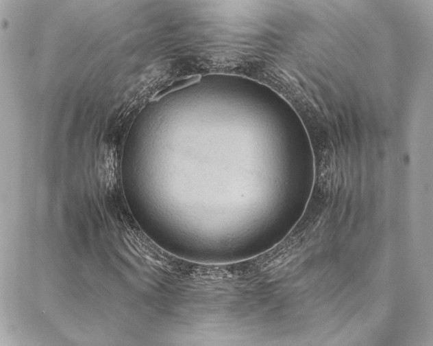 X0000089370866200706151156
