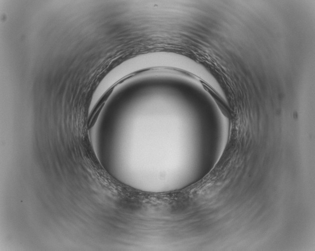 X0000089370868200706151156