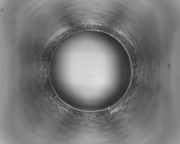 X0000089370870200706151156