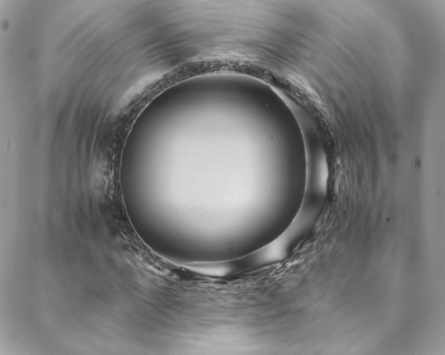 X0000089370872200706151156
