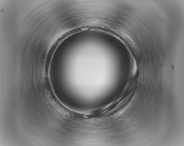 X0000089370880200706151156