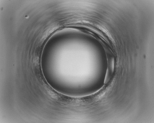 X0000089370881200706151156
