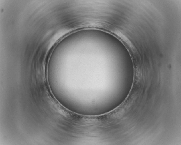 X0000089370886200706151156