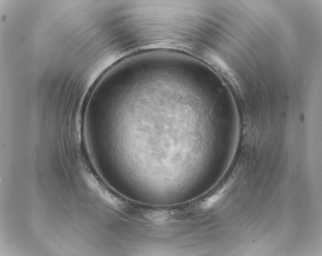 X0000089370892200706151156