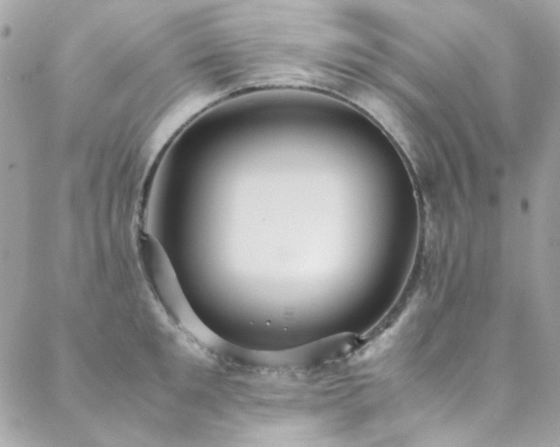 X0000089370901200706151155