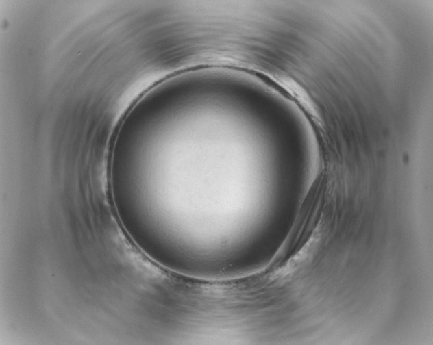 X0000089370904200706151155