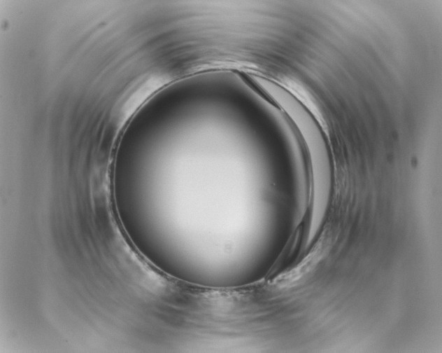 X0000089370906200706151155