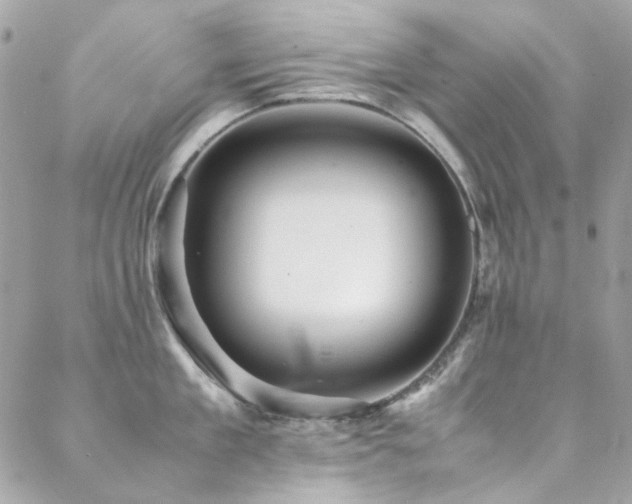 X0000089370909200706151155