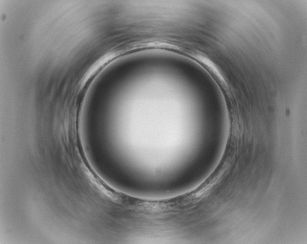 X0000089370910200706151155