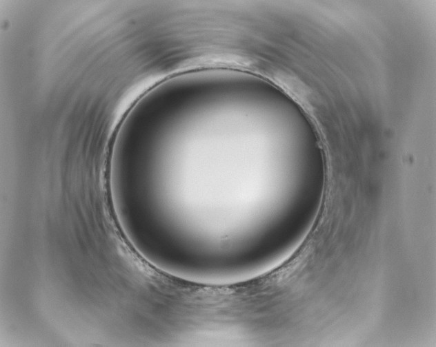X0000089370912200706151155