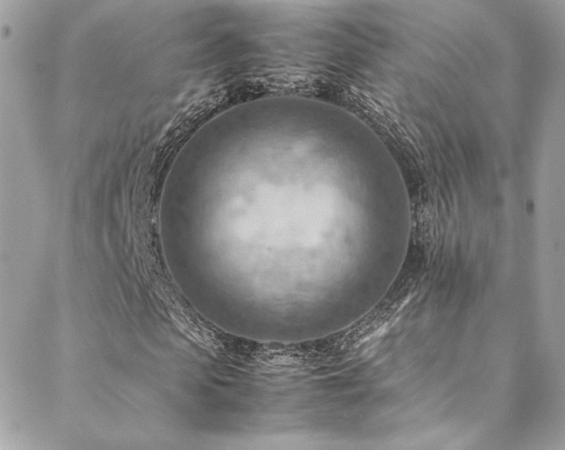 X0000089370913200706151155