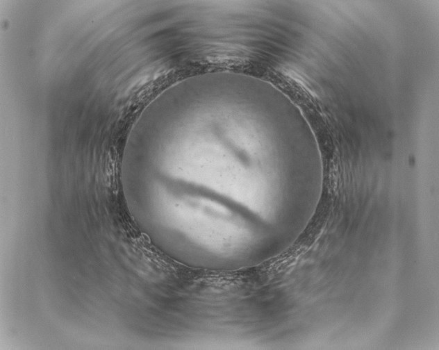 X0000089370917200706151155