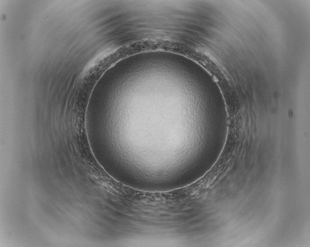 X0000089370919200706151155