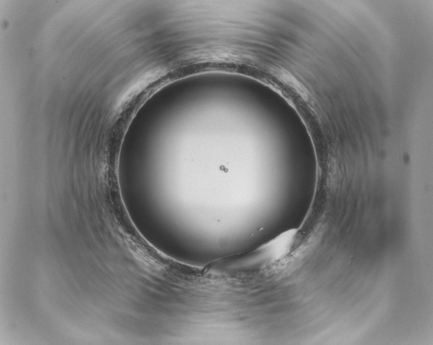 X0000089370922200706151155
