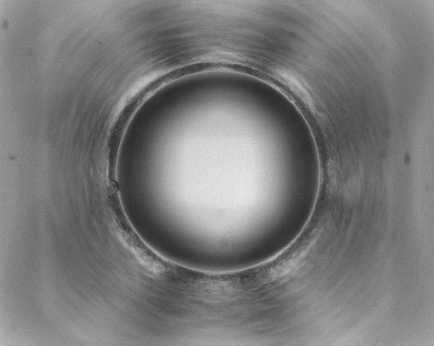 X0000089370931200706151155