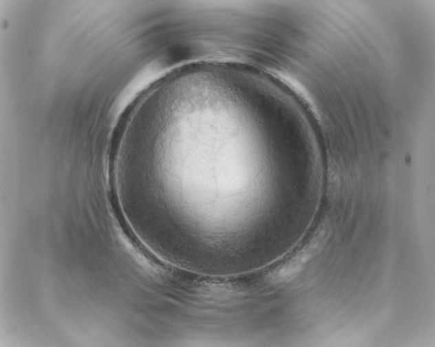 X0000089370935200706151155