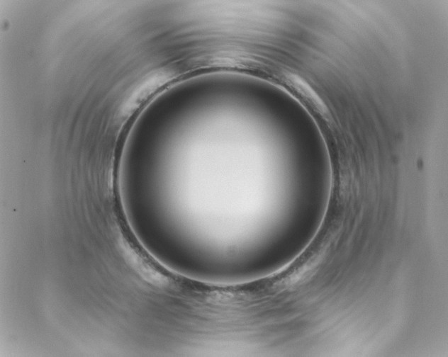 X0000089370938200706151155