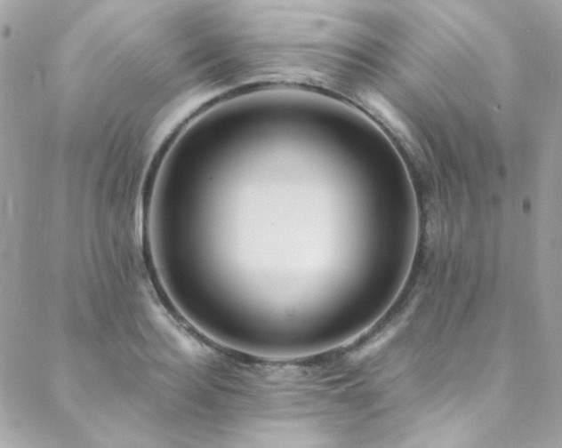 X0000089370940200706151155