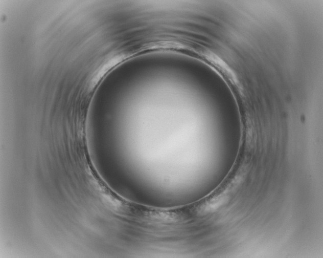 X0000089370945200706151155