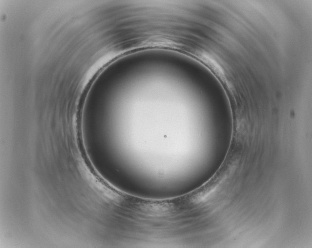 X0000089370947200706151155