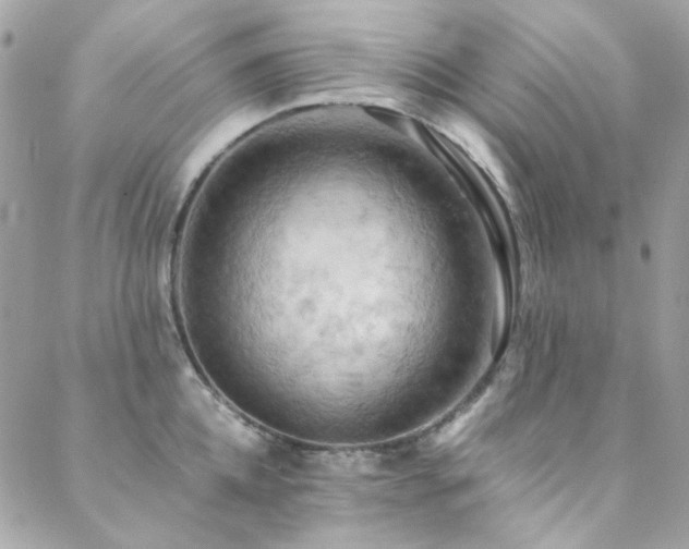 X0000089370952200706151155