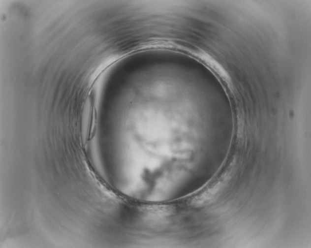 X0000089370953200706151155