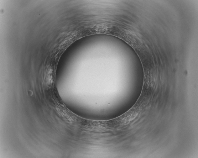 X0000089370962200706151154