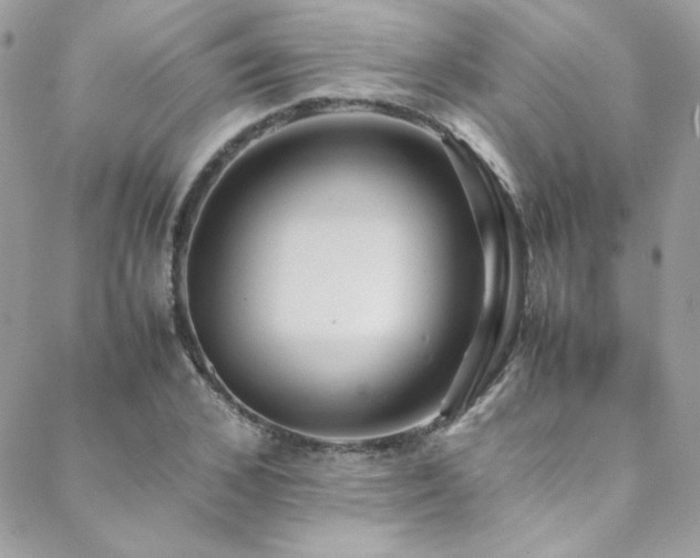 X0000089370976200706151154