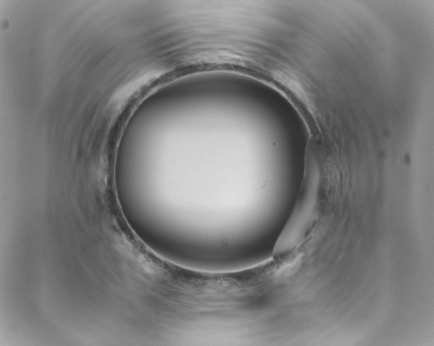 X0000089370979200706151154