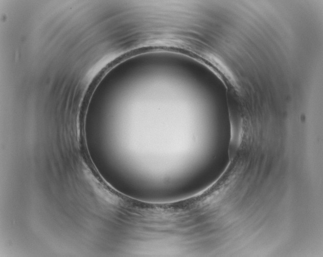 X0000089370980200706151154