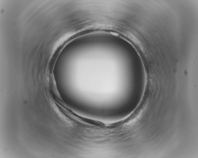 X0000089370981200706151154
