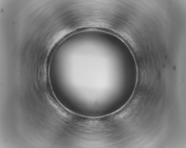 X0000089370982200706151154