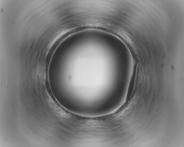 X0000089370984200706151154