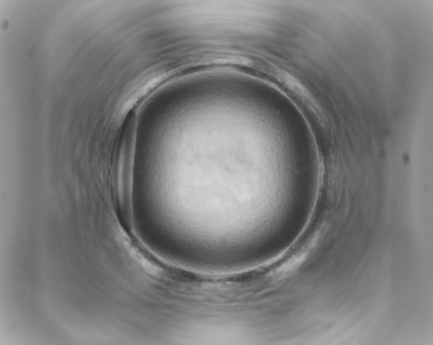 X0000089370985200706151154