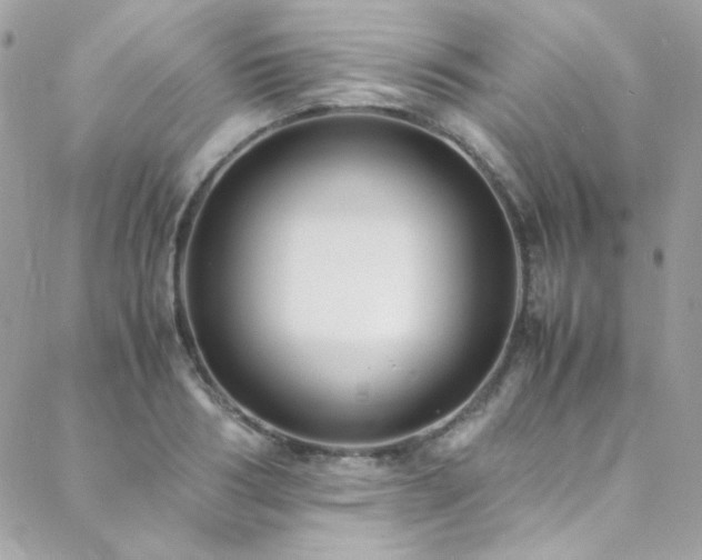 X0000089370986200706151154