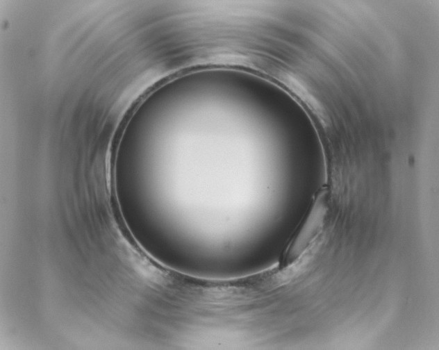 X0000089370988200706151154