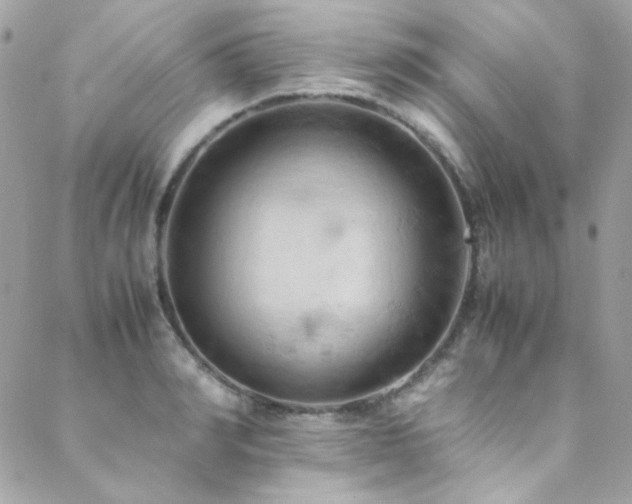 X0000089370990200706151154